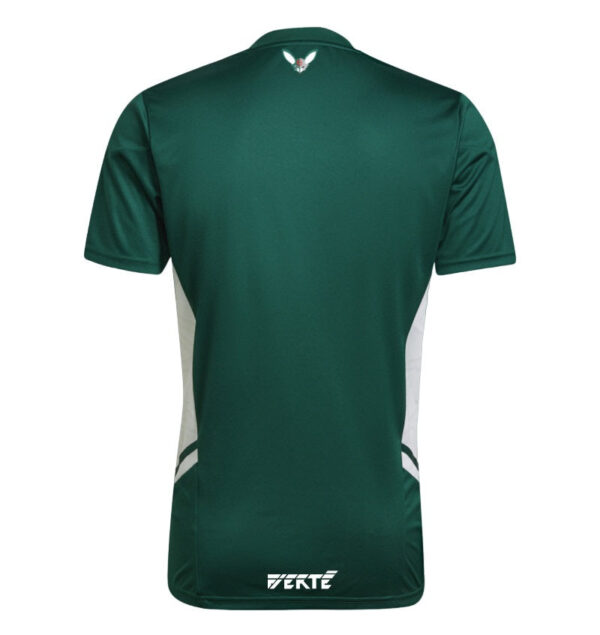 Maillot spécial vert Algérie x Palestine 2023/2024 (Version joueur) – Image 2